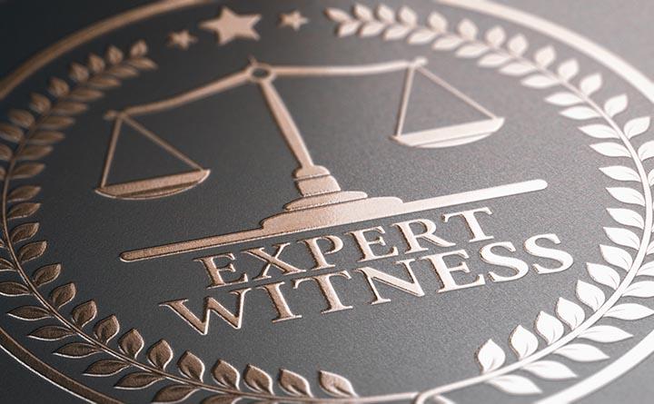 Experts in Criminal Cases